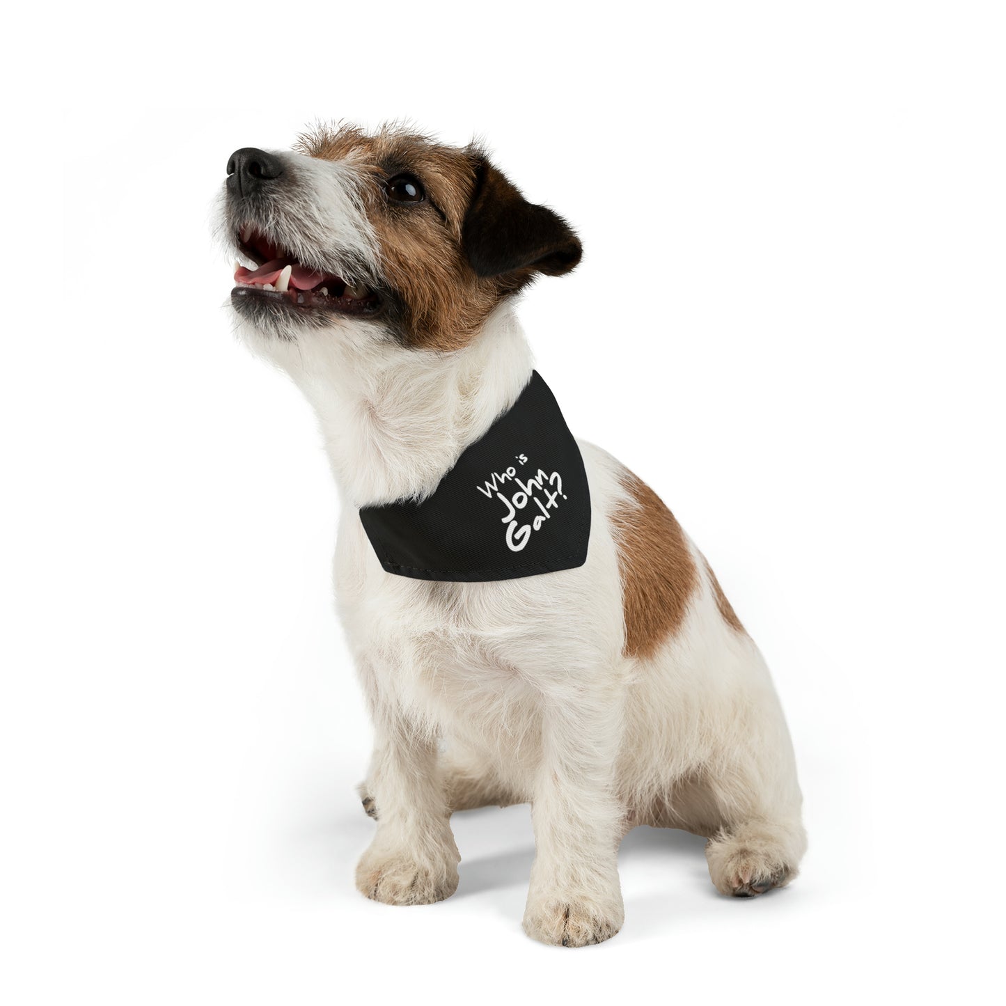 Who is John Galt? Pet Bandana Collar
