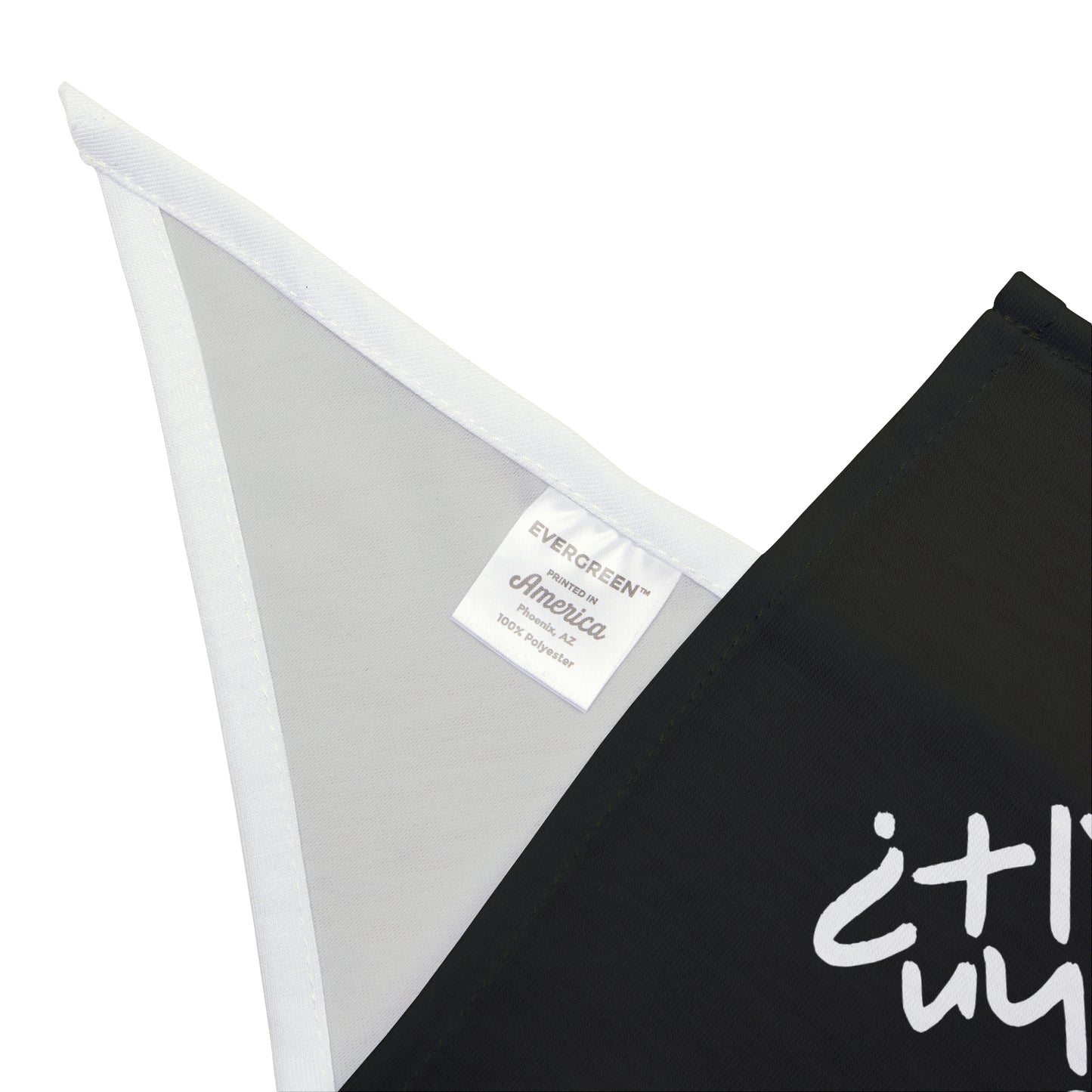 Who is John Galt? Pet Bandana